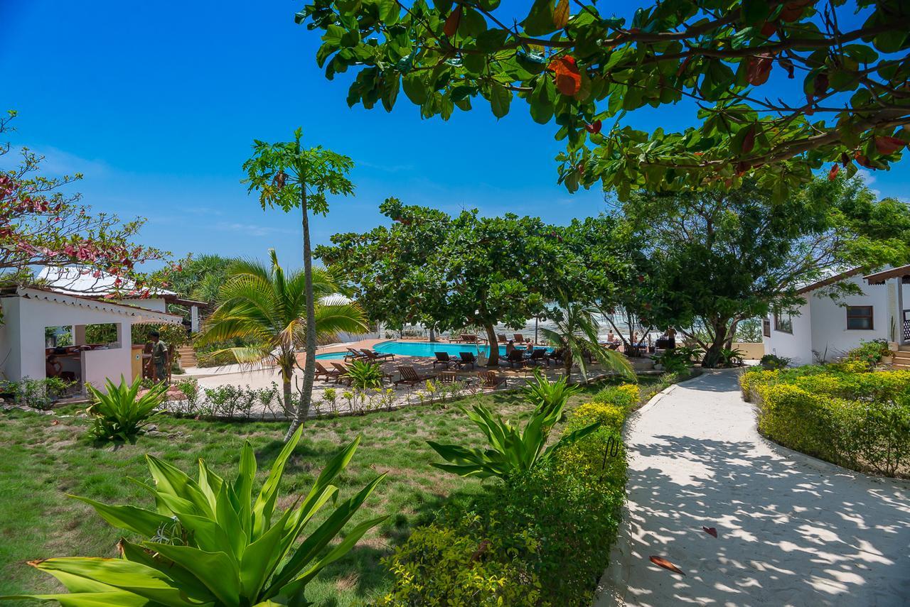 Warere Beach Nungwi